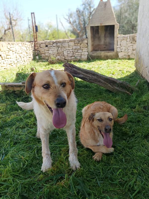 Jude e Kiss due anime gemelle Foto 4